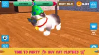 Cat Simulator: My Cat game - Cat 2021 and Cat Exam Screen Shot 5