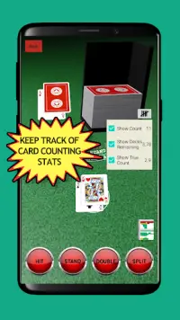 Blackjack Card Counting Screen Shot 1