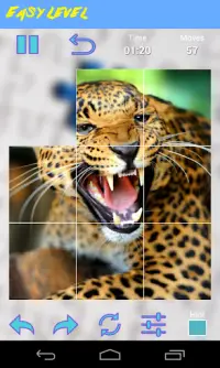 Leopard Jigsaw Puzzle Screen Shot 4