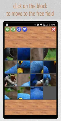 15:Birds Puzzle Screen Shot 1