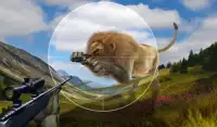 Lion Hunting - 2017 Sniper 3D Screen Shot 5