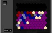 A Hexagonal Puzzle Game Screen Shot 7