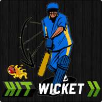 Hit Wicket Cricket 2018 - Indian League Game