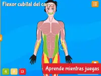 Anatomix - El Cuerpo Humano Screen Shot 9