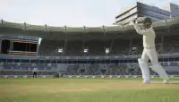 Cricket 2019 Stars Tournament Screen Shot 1