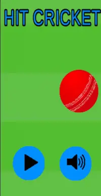 Hit Cricket Screen Shot 0
