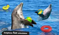 Dolphin Water Stunts Show Screen Shot 2