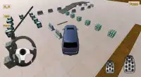 Luxury Car Parking 3D Screen Shot 1