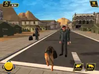 Border Police Dog Chase Sim 3D Screen Shot 14