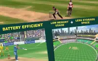 Cricket Lite 3D: World Cricket Bash Screen Shot 3