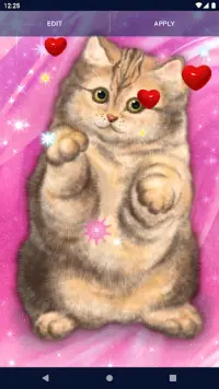 Cute Fluffy Cat Live Wallpaper Screen Shot 4