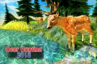 ciervo cazar en selva gratis juegos Screen Shot 0