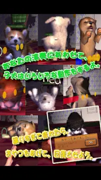 動物ダンス 子犬 Screen Shot 2