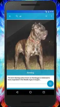 Dog Breeds Quiz - Game Screen Shot 2