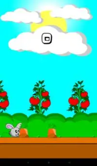 Jumpy Bunny Screen Shot 4