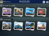 Magical Jigsaw Puzzles Challenging Screen Shot 10