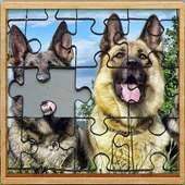 Cães de pastor alemão Jigsaw Puzzle Game