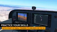 Infinite Flight: simulador de vuelo Screen Shot 5