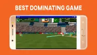 Boom Boom Afridi Cricket Game Screen Shot 4
