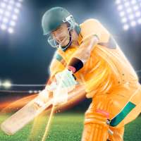 Giải đấu cricket Ấn Độ 2019: Cúp thứ 12