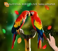 Birds 3D Live Wallpaper Screen Shot 8