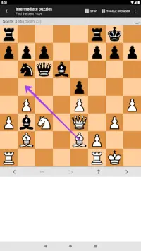 Táticas de Xadrez (Puzzles) Screen Shot 18