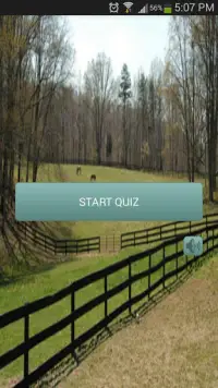 Horse Challenge Screen Shot 4