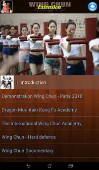 Wing Chun Kung Fu Screen Shot 8