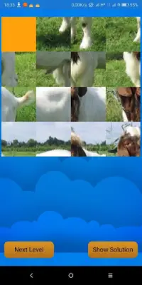 Animal Puzzle Screen Shot 4