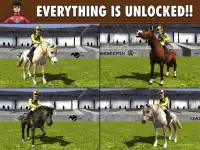 Equestrian Horse Racing Game Screen Shot 7
