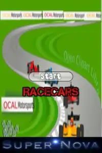 Race Cars Screen Shot 0