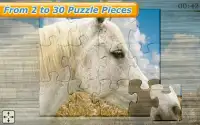 Horses Jigsaw Puzzles ❤️🐴 Screen Shot 4