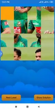 Cricket Puzzle Screen Shot 2