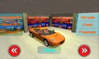 The Racing Car 3D Screen Shot 0