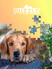 Juegos de puzzle de perros Screen Shot 1