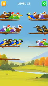Bird Sort Color- Puzzle Master Screen Shot 4