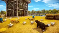 Dog Town Simulator : My Pet Farm Town Screen Shot 4