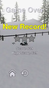 Alpine Ski III Screen Shot 6