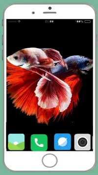 Fish Full HD Wallpaper Screen Shot 13