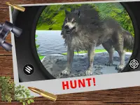 Hunting Clash Shooting Games Screen Shot 9