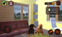 Simulador de perro Dachshund Screen Shot 7