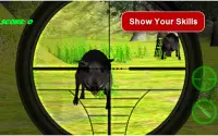 Sniper Boar Hunting 3D Screen Shot 2