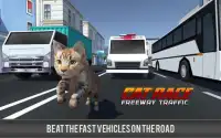 Kitty Cat Rush gra 3D Screen Shot 0