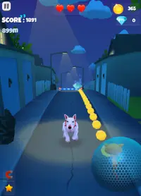 Pet Escape - Cat Dog Runner Screen Shot 9