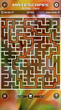 Mazescapes Amazing Maze Screen Shot 3