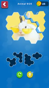 Hexa Puzzle Jigsaw: Anime Collection Screen Shot 2