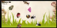 Crush Flying Insects Screen Shot 2