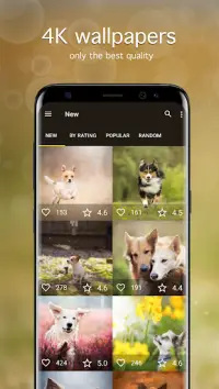 Dog Wallpapers & Puppy 4K Screen Shot 1