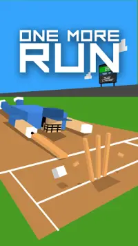 One More Run: Cricket Fever Screen Shot 0