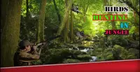 Aves Cazando En La Selva 2017 Screen Shot 2